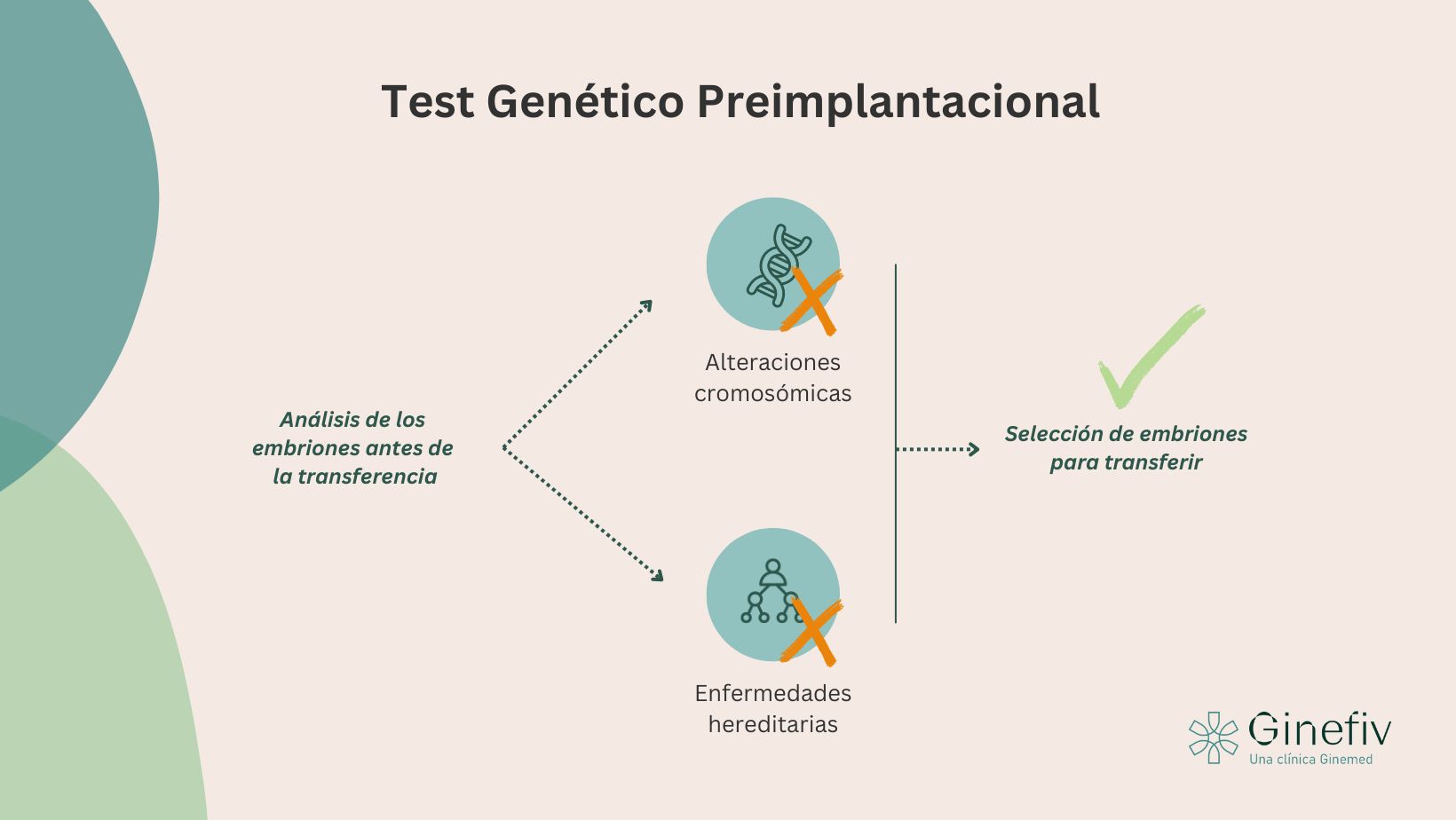 PGT y reproducción asistida unidad genética reproductiva ginefiv